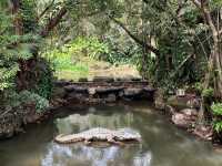 🌿 Yanoda — Hainan’s Tropical Rainforest Wonderland