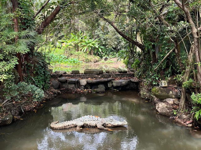 🌿 Yanoda — Hainan’s Tropical Rainforest Wonderland