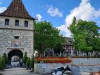 Marveling at the Power of the Rhine Falls