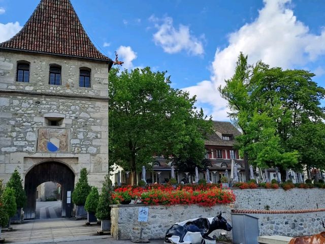 Marveling at the Power of the Rhine Falls
