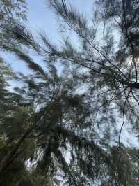 Kwentong Dagat – Beachfront Bliss