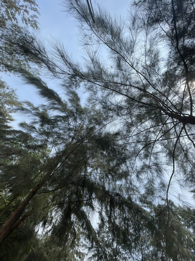 Kwentong Dagat – Beachfront Bliss