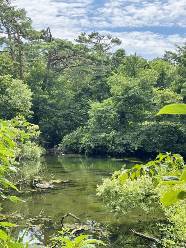 【福島】一生に一度は行きたい!!奇跡の絶景