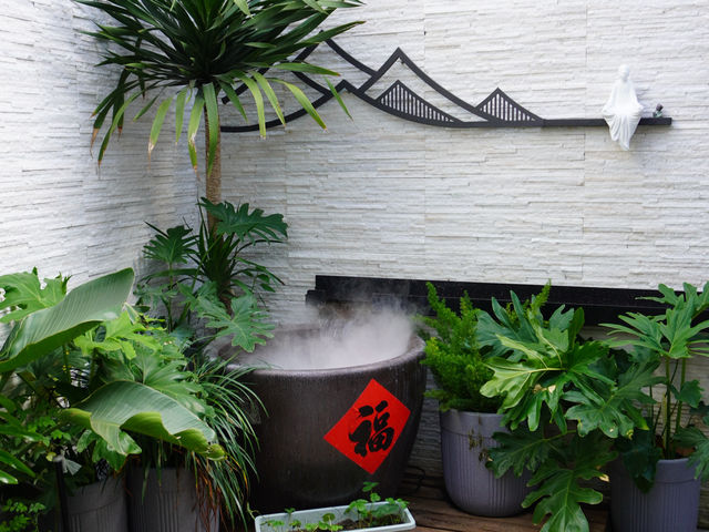 登高望遠，漫遊麗江古城