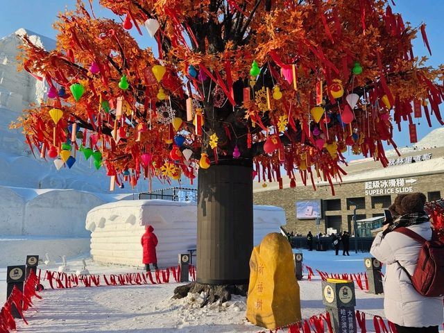 Harbin the snow world