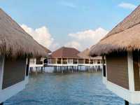 Avillion Port Dickson: Where Tradition Meets Luxury ✨🌊