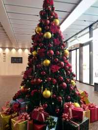 企業を巻き込んだ「丸の内・大手町」のクリスマスツリー 装飾傾向