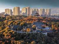 🌳 길림: 자연과 역사 속으로