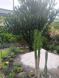 the Secret Garden, Upper Roof @ One Utama, Petaling jaya