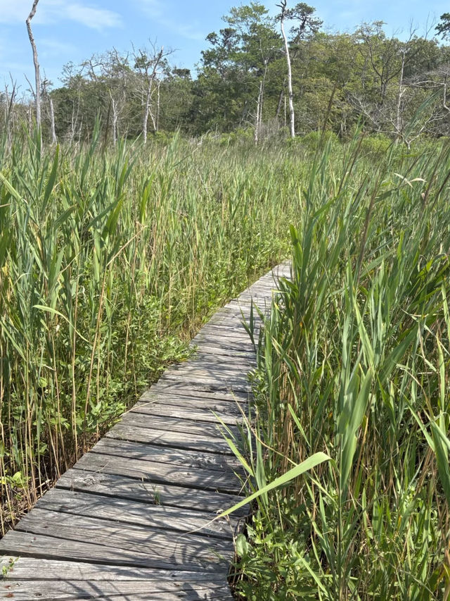 Cattus Island County Park – New Jersey
