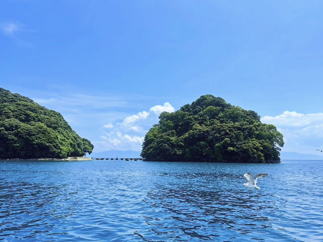 Ine Bay Kyoto 🇯🇵 สวยย So จึ้งใจมากกก 🩵