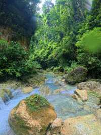 Kawasan Falls Adventure💦