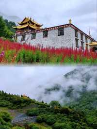 長坪溝徒步--歷史及原始生態探秘
