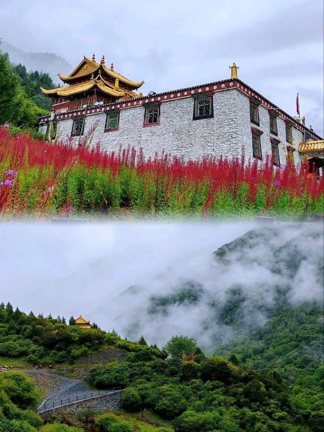 長坪溝徒步--歷史及原始生態探秘