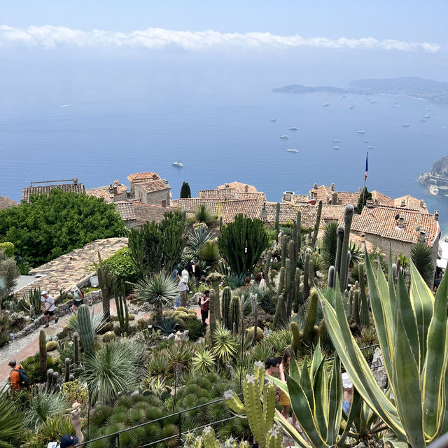 🇫🇷法國埃茲-Jardin Exotique d’Eze 🌵