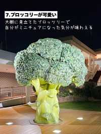 アクセス抜群＆快適に使える空港✈️⁡「神戸空港の魅力5選」⁡