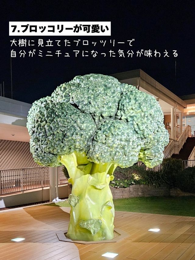 アクセス抜群＆快適に使える空港✈️⁡「神戸空港の魅力5選」⁡