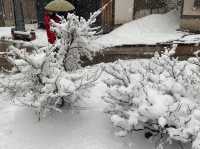 日本玩-「銀山溫泉」一個凝結在日本大正時代及宮崎駿童話裡的雪白世界，此生必訪！