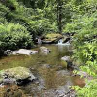 Mullinhassig Wood & Waterfalls, Aghavrin – Cork’s Wooded Waterfall Retreat