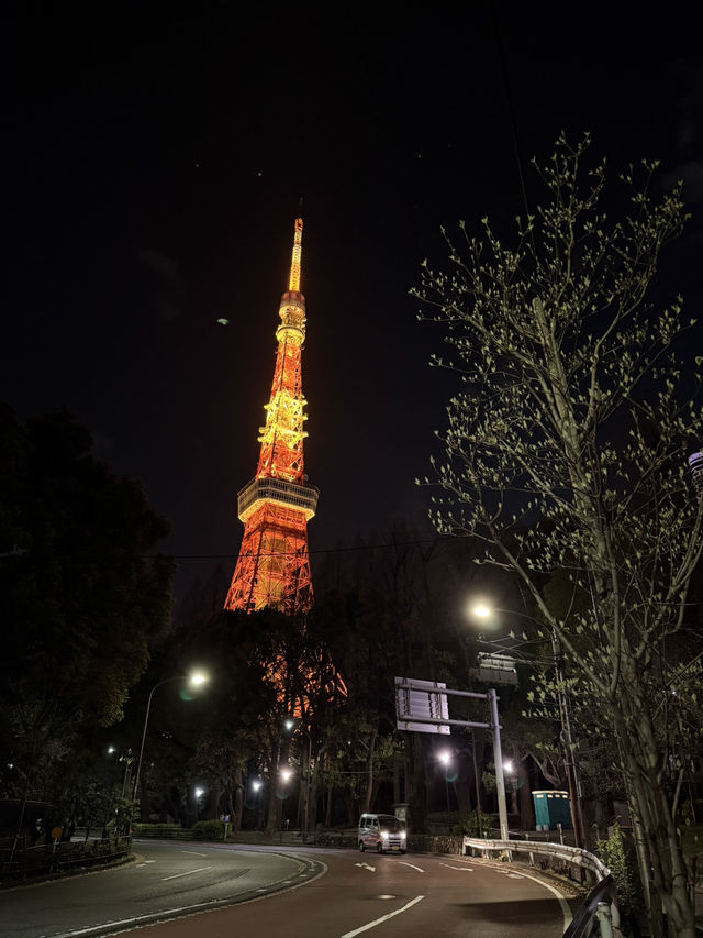 2025.03.28 櫻花季東京獨旅五天四夜行程 p6 第四天行程大公開(6.東京鐵塔) 2025.03.28 櫻花季東京獨旅五天四夜行程 p6 第四天行程大公開(6.東京鐵塔)