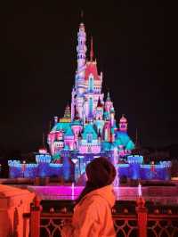 Disney Dreamland✨🏰🎢