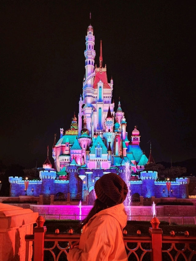 Disney Dreamland✨🏰🎢
