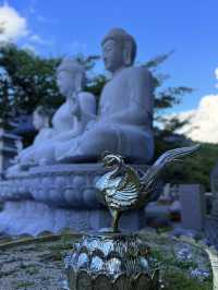 大邱｜千年桐華寺的寧靜之美 能在寺廟住宿體驗修行生活