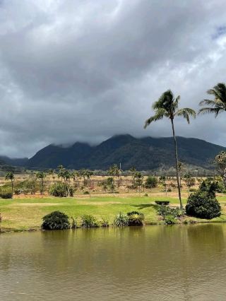 A Sweet Escape at Maui Tropical Plantation
