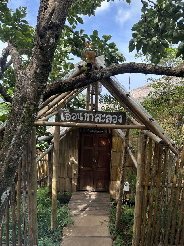 ที่พักวิวภูเขา ที่ดอยม่อนเงาะเชียงใหม่ ⛰️ ที่พักวิวภูเขา ที่ดอยม่อนเงาะเชียงใหม่ ⛰️