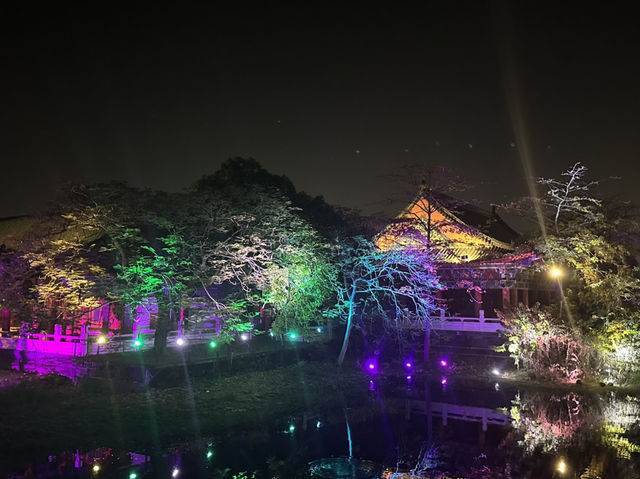 蓮池潭燈會 蓮池潭燈會