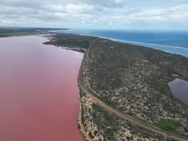 澳洲 Hutt Lagoon 粉紅湖:夢幻湖泊的空中饗宴 澳洲 Hutt Lagoon 粉紅湖:夢幻湖泊的空中饗宴