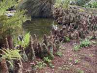 Ayrlies Garden and Wetlands