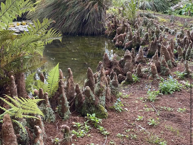 Ayrlies Garden and Wetlands