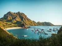  Padar Island 🌴🇮🇩 is famous for its breathtaking hills ⛰️ and the iconic viewpoint overlooking 3 bays 🌊 with white 🤍, black ⚫, and pink 🌸 beaches.