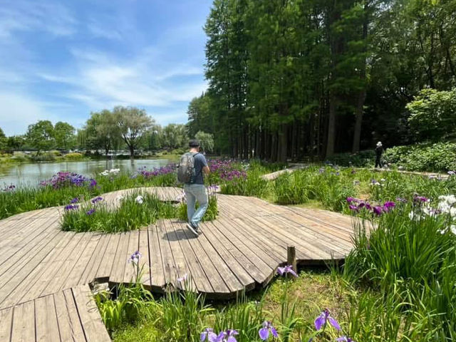 🌸 Ten-Mile Fragrant Path (十里芳径) — The Heart of Yuantouzhu 🌸 🌸 Ten-Mile Fragrant Path (十里芳径) — The Heart of Yuantouzhu 🌸