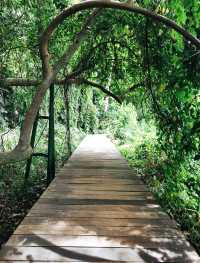 คำชะโนด : วังนาคินทร์ "ความเชื่อ ศรัทธา ธรรมชาติ"