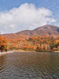 【穴場の紅葉】観光攻略付‼️赤城山で最も雄大な紅葉と水鏡の絶景を楽しむ🌊 🍁⛩️✨