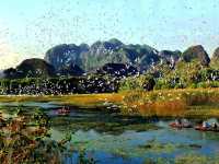 🌿 Van Long Wetland Nature Reserve – The “Hidden Bay” of Ninh Binh 🌿
