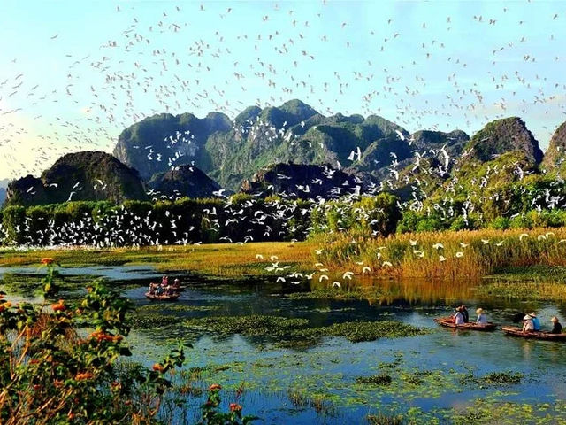 🌿 Van Long Wetland Nature Reserve – The “Hidden Bay” of Ninh Binh 🌿