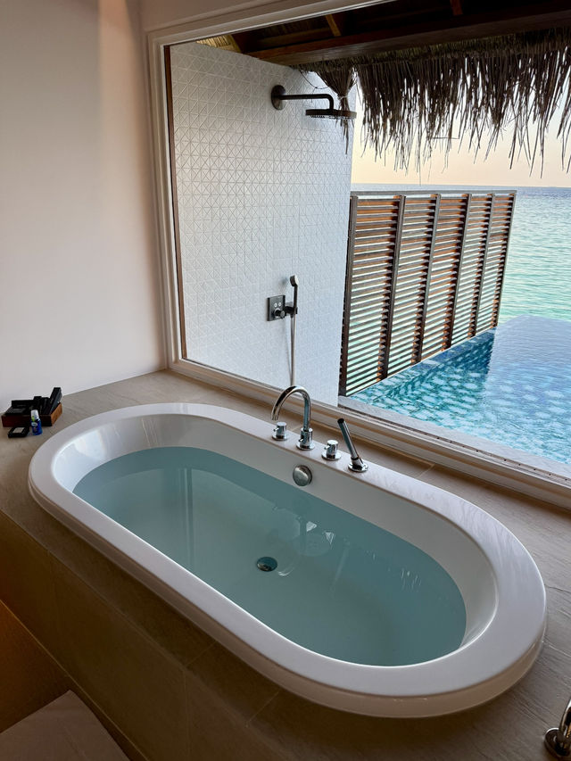 🏝️ Tropical Bliss at W Maldives – Overwater Villa Escape