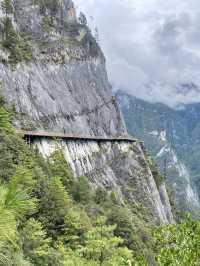 Nature's Masterpiece Unveiled