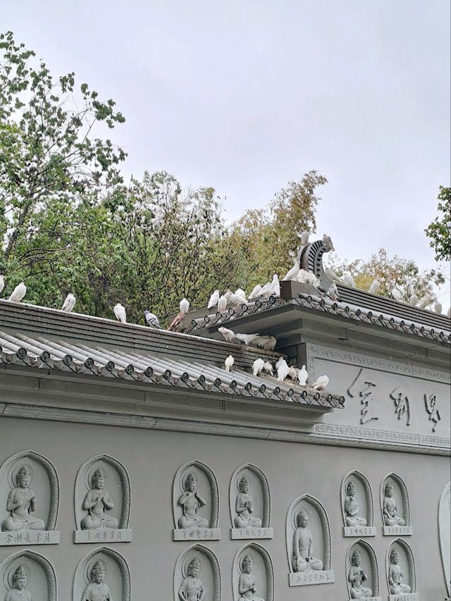 Daxingshan Temple🎋วัดเก่าแก่กว่า 1,600 ปีในซีอาน