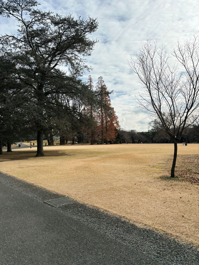 A Calm Hideaway in the City – Shinjuku Gyoen 🌿