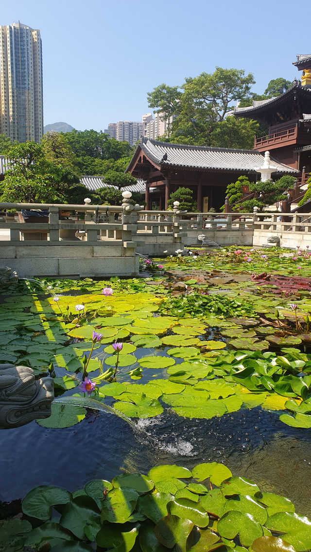 Chi Lin Nunnery, Hong Kong