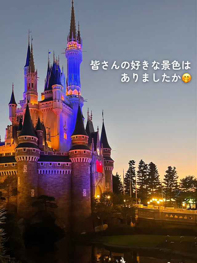 【 私の大好きなディズニーランド🎄 】