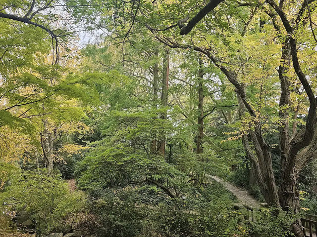 Brooklyn Botanic Garden