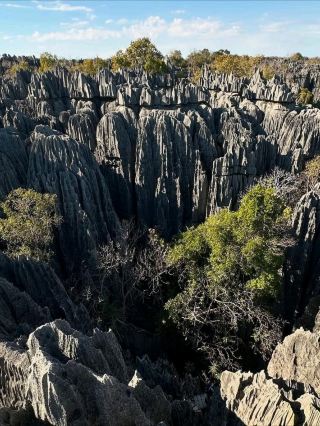 A Maze of Stone and Sky: Exploring Tsingy de Bemaraha National Park