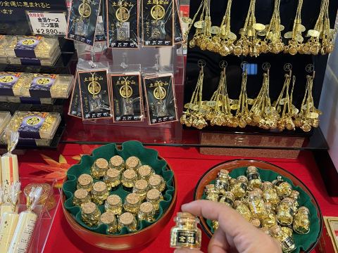 2026 土肥金山 | 伊豆市観光スポットの観光ガイドと旅行体験 | Trip
