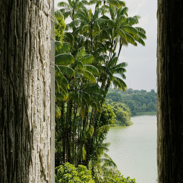 Whispers of the Wild Whispers of the Wild