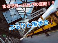 クラシックとカフェの街、ダニーデンをのんびり散策☕